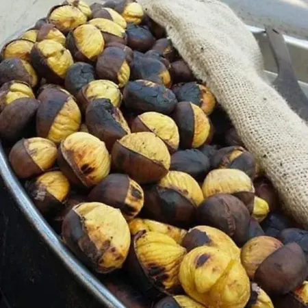 Nina's House 2 A 300 Metri Dal Mare Apartment Santa Caterina Dello Ionio Marina