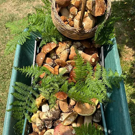 Nina's House 2 A 300 Metri Dal Mare Santa Caterina Dello Ionio Marina