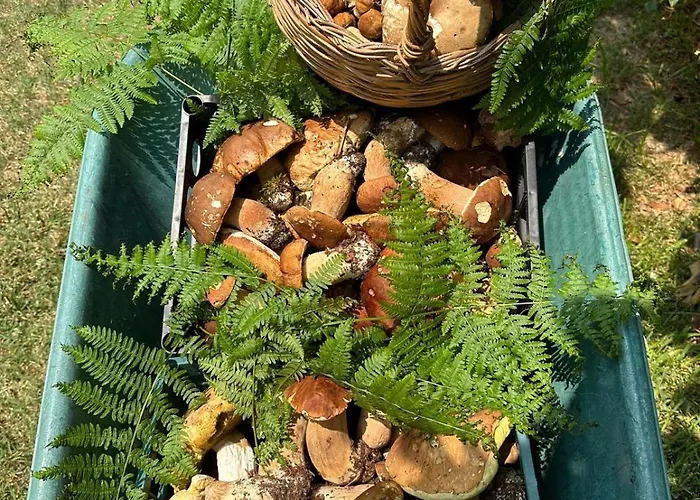 Nina's House 2 A 300 Metri Dal Mare Santa Caterina Dello Ionio Marina